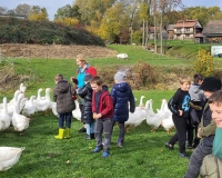 3b w gospodarstwie edukacyjnym w Niezwojowicach