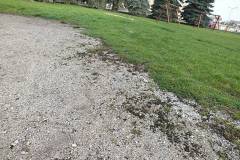 img016