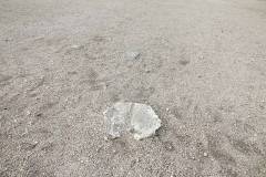 img017