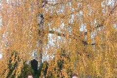 573048373_1229410355879184_845625324018083107_n 573048373_1229410355879184_845625324018083107_n