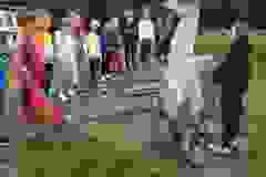 447720803_836400435180180_1234062205575179599_n