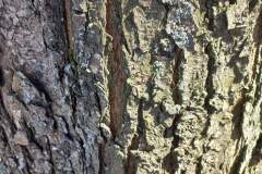 received_1233771844043499