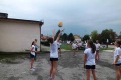 img4c539a84d89ede457249