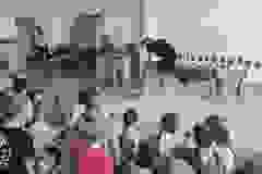 445787738_832981292188761_1155215025042447893_n