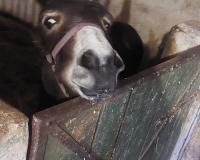 Jedynkowe serca znów w akcji