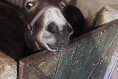 595127808_1261505139336372_9193095930946454984_n