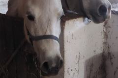 595508212_1261505096003043_6114326081327503912_n