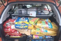 596202475_1261536165999936_899287193437723494_n