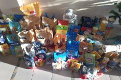 597579040_1261505206003032_4112064960244130659_n