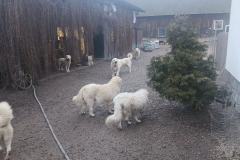 597614062_1261536245999928_2454622271997601272_n