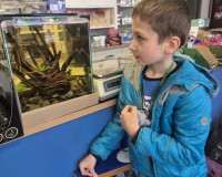 "Każda rybka może być złota"