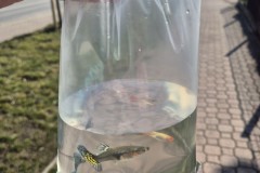 649760958_1337571025063116_4817923841263309380_n