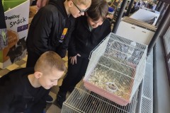 650372276_1337570561729829_3834363022559179890_n