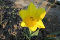 hdimg78416f8fae0567d6f0ec104e117091