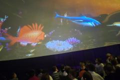 638061801_1316795197140699_2708850481438668444_n