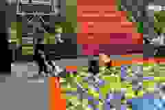 467439010_509564455471862_1311059569286352640_n