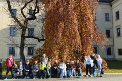 579201829_1236047078548845_2253752955956353760_n