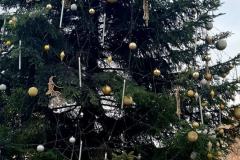 598004235_1261467049340181_3311064242886047415_n