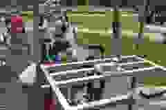 447736337_837643885055835_6937088700784586520_n