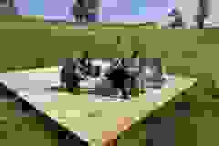 443717685_829356742551216_2968961916463590670_n