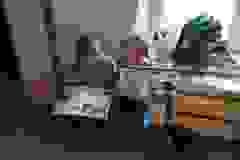 90037990-c3b1-4740-b847-52ee2799b9a3