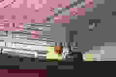 466628829_1872365493598130_8907794861751241262_n