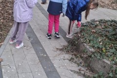 669447656_1360876279399257_5535574339851731318_n