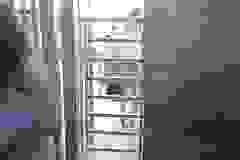 447488856_836996535120570_601651341409012880_n