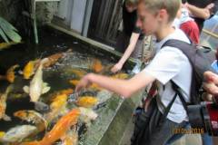 img6df556e88f70fb5cd3a7