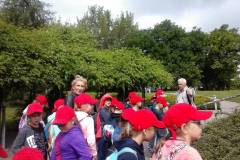 img46186623a180de0a7072