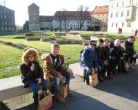 Wycieczka na Wawel