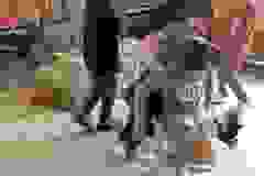 448041920_840108371476053_2424055987907535890_n