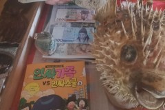 676923357_1370791608407724_1421277168105924560_n