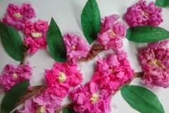img4c1c5d2321506ea66cd2