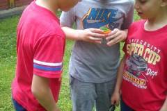 hdimgaa31d274959cc09a25c93a2066a0ca