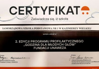 „Młode Głowy”