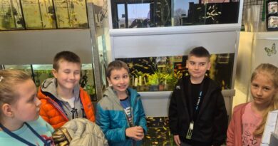 „Każda rybka może być złota”