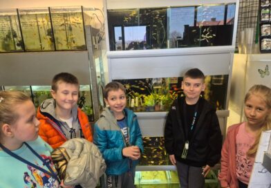 „Każda rybka może być złota”