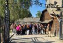 Auschwitz… tu mówi cisza